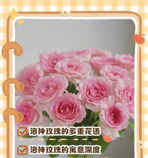 特色玫瑰花的花语是什么？特色玫瑰花寓意何在？