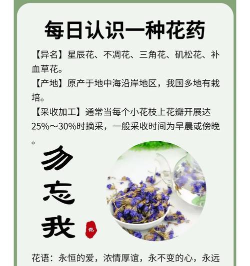 小蓝花寓意为健康的句子是什么？小蓝花在花语中的健康含义是什么？