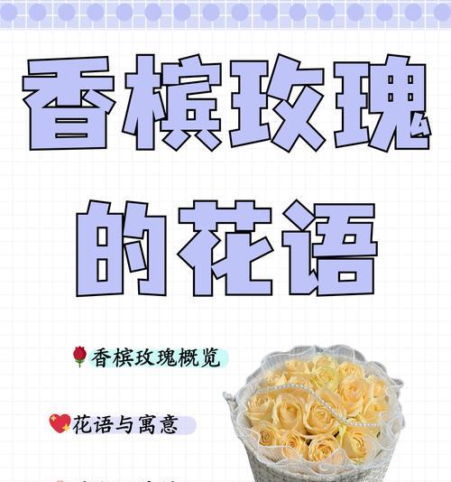 花语与花色有什么关系？它们是如何相互影响的？