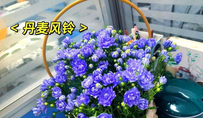 用花寓意爱情的句子有哪些？如何用花表达爱情？