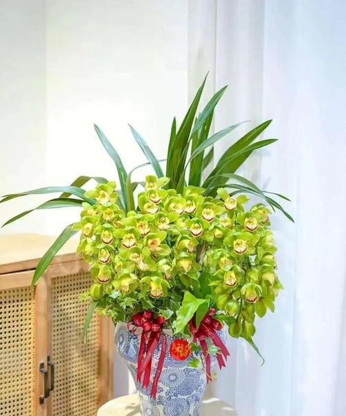 哪些年宵花寓意富贵吉祥？它们的含义是什么？