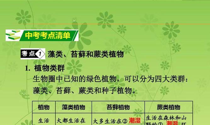 送竹节花有何含义和象征？