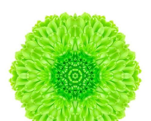 绿色曼陀罗花通常象征着什么？