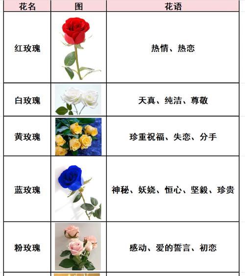 颜色与花语有何关联？不同颜色的花代表什么？