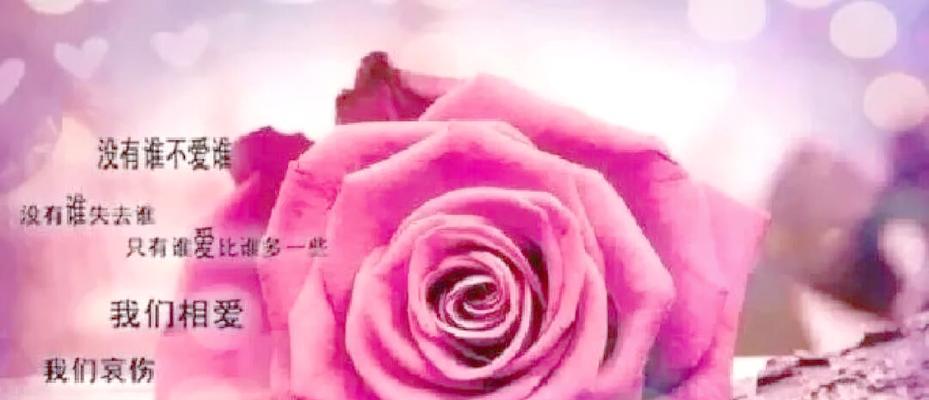 哪种花的花语与爱情无关？