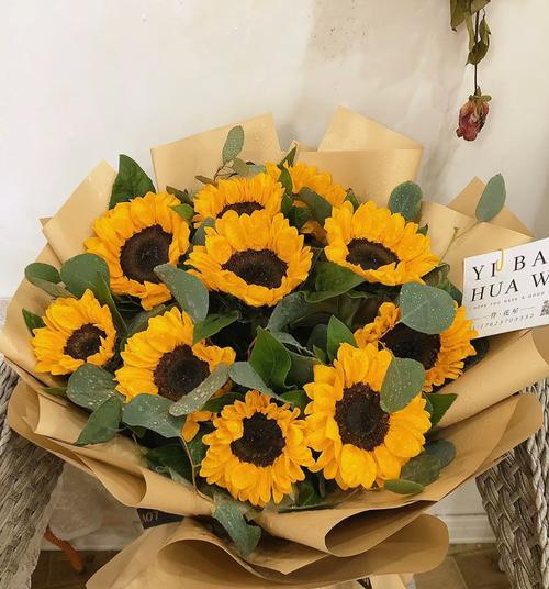 哪种花寓意祝福不再生病？它的花语是什么？