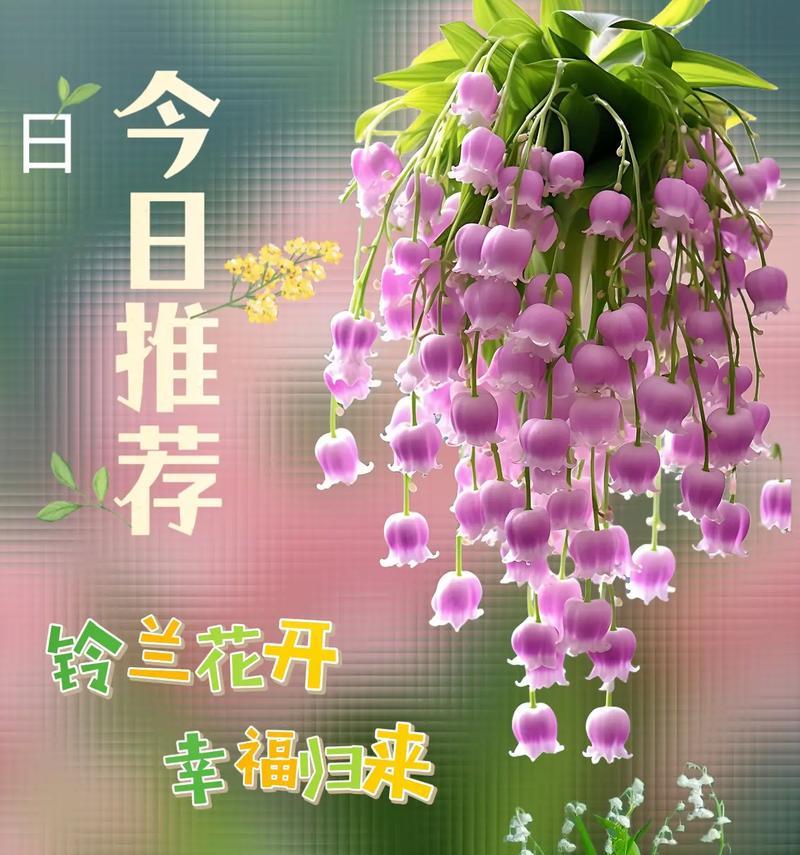 铃兰花在不同季节的花语是什么？它们代表了什么？