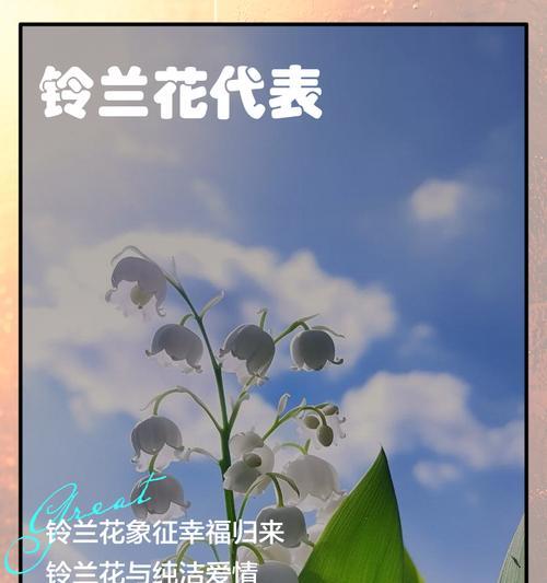 铃兰花在不同季节的花语是什么？它们代表了什么？