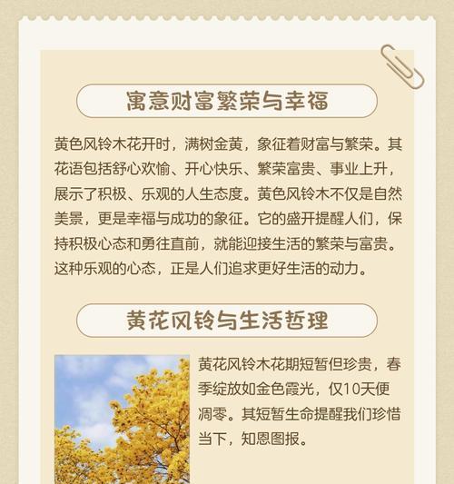 橘黄色花的寓意是什么？在花语中代表什么？