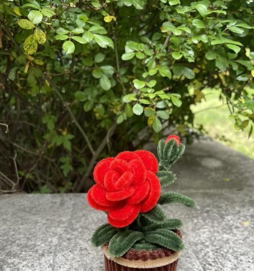 扭扭花象征幸福的含义是什么？