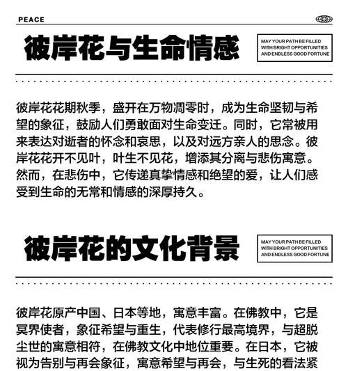 传说中哪种花象征永恒？它的寓意有何特别之处？