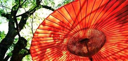 花伞的使用习俗及其寓意是什么？