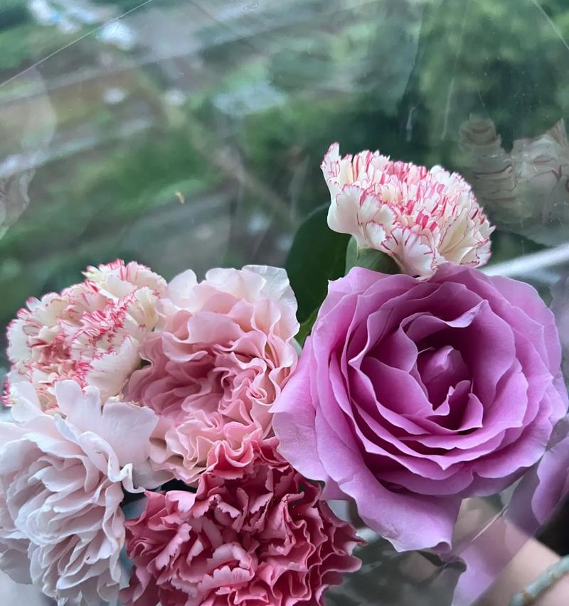 母亲节送1朵花代表什么？