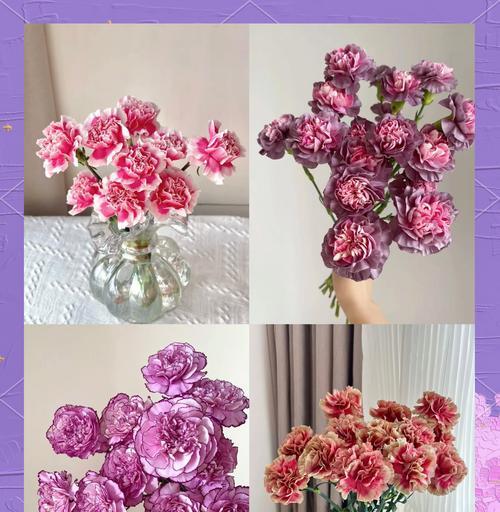 白色花代表什么意义？送妈妈白色花有何寓意？