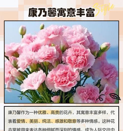 多少朵花代表爱情？它们的花语是什么？