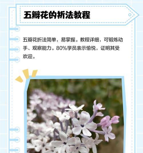 白色五瓣花的寓意有哪些？
