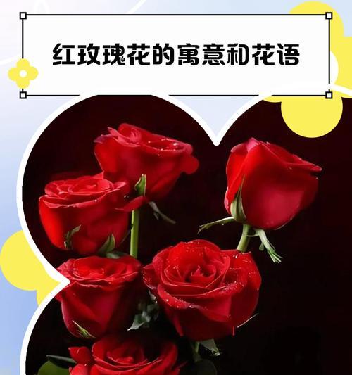 不同种类的花寓意着怎样的爱情？花的寓意爱情有哪些？
