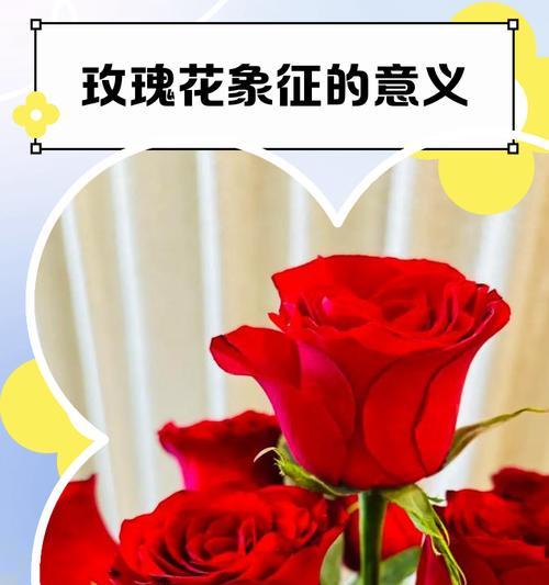 不同种类的花寓意着怎样的爱情？花的寓意爱情有哪些？