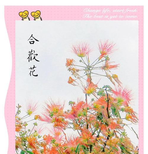 北欧文化中哪些花象征爱情？