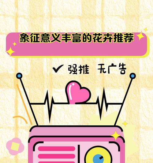 玫瑰花熊粉色的寓意和象征是什么？它代表什么情感？