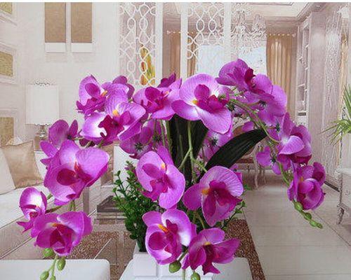 一束淡紫色的花寓意是什么？淡紫色花束象征着什么？