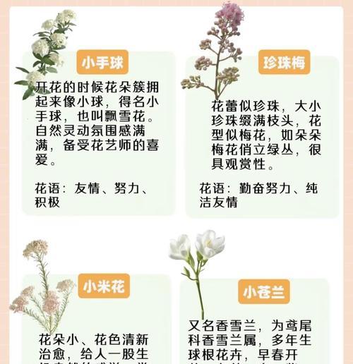 如何搭配象征爱情的花？搭配技巧是什么？