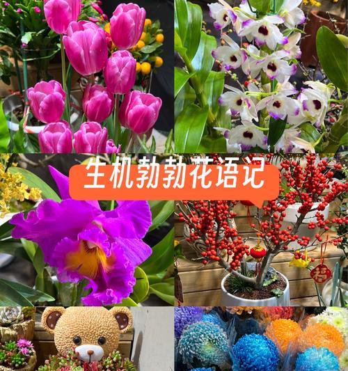 哪些花寓意过节好？过节时选择什么花寓意好？
