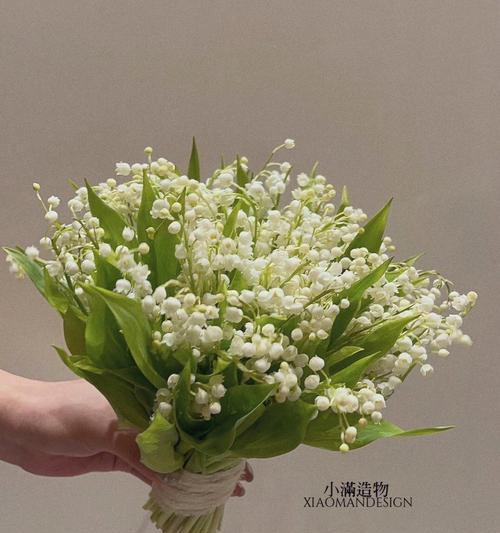 手捧花铃兰花代表什么？花铃兰花的寓意象征是什么？