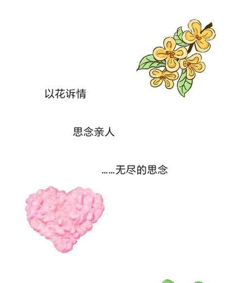 什么花象征爱情和思念？如何用花表达思念之情？