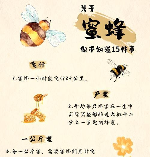 蜂花的研究背景是什么？蜂花的研究意义何在？