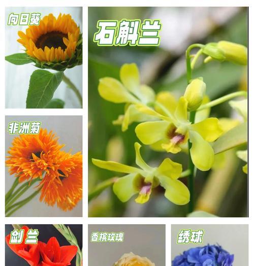 哪些花象征着坚强的爱情？送花时如何表达爱的坚定？