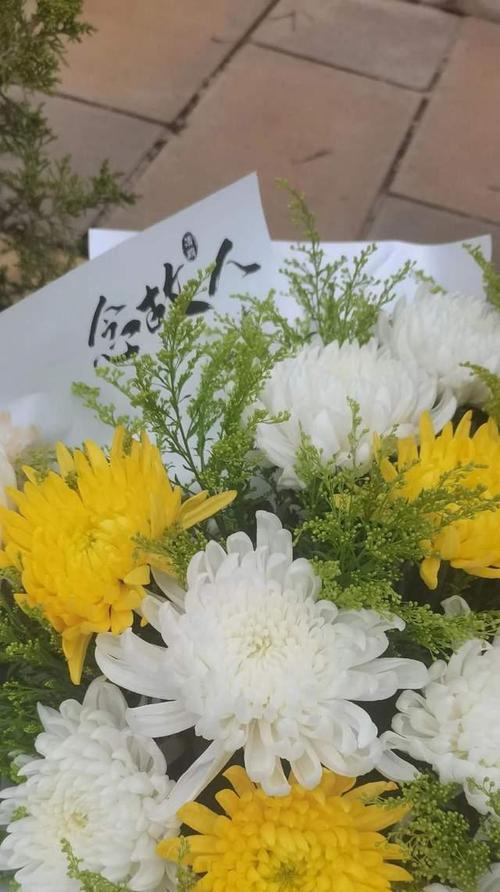 哪些花象征老人离世？老人离世的花语是什么？