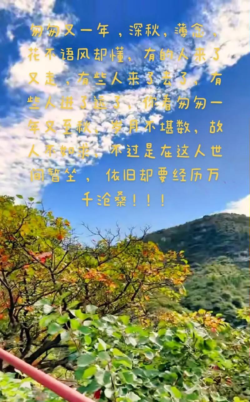 花运的文化含义有哪些？