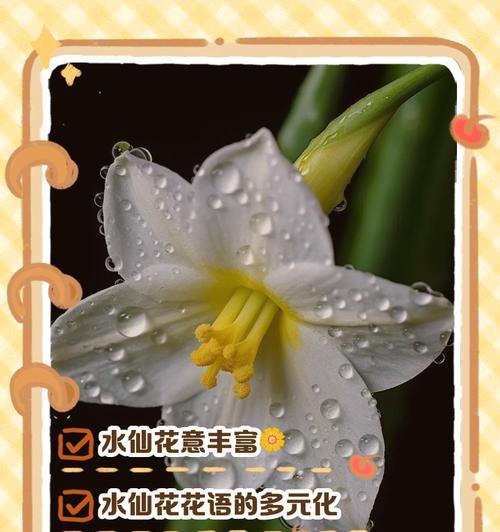 水仙花在春节的花语是什么？