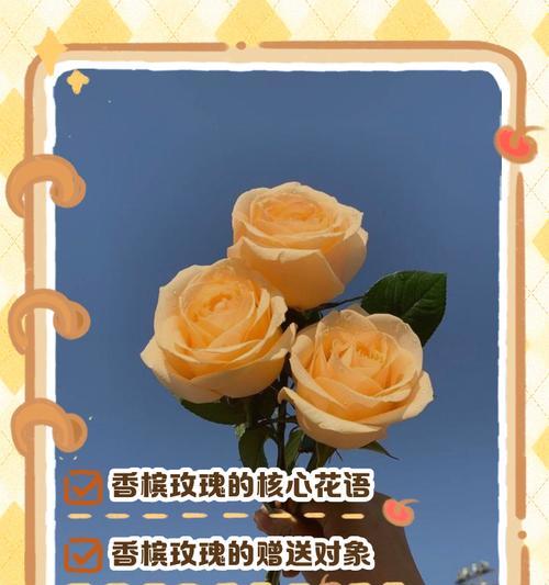 床品上的花语有哪些浪漫寓意？如何挑选寓意浪漫的床品？