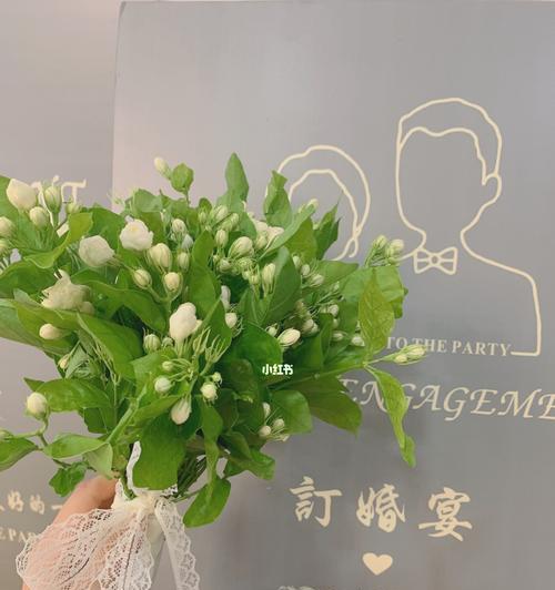 手捧花茉莉有什么寓意？如何挑选寓意浪漫的茉莉花束？