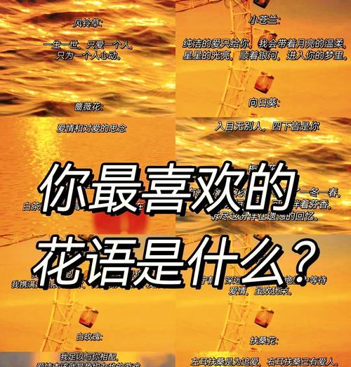 彩色花的寓意是什么？它们各自有什么花语？