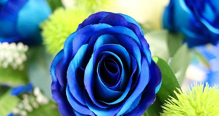 蓝色花代表什么寓意？蓝色花卉的象征意义是什么？