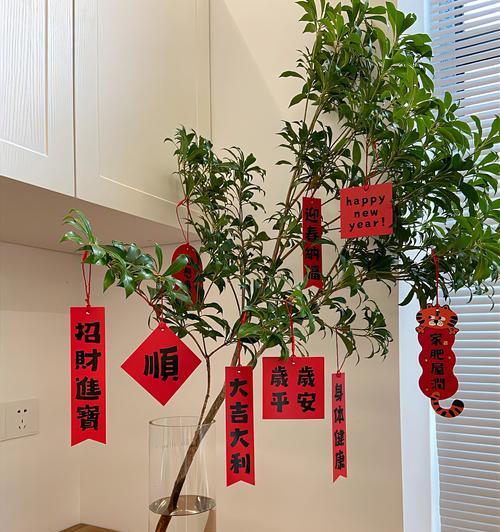 象征平安的花有哪些？这种花的寓意是什么？