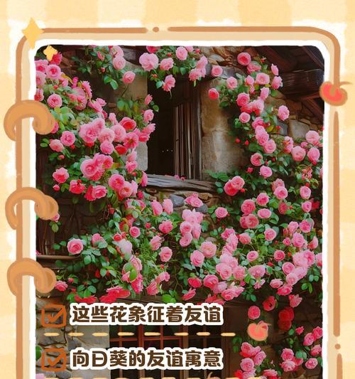 白色和天下花的花语是什么？它象征着什么？
