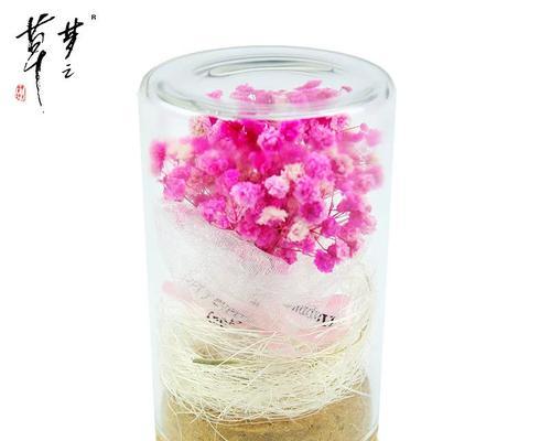 粉色永生花的寓意是什么？它们在送礼时有何特别含义？