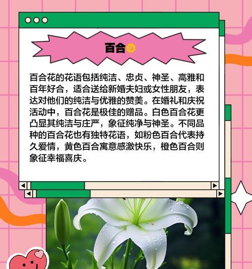 哪些花好养活且寓意爱情？如何选择？