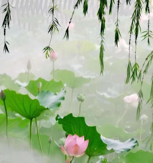 唐代哪首诗中提到了象征爱情的花？