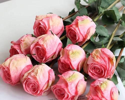 白粉色玫瑰花代表什么？白粉色玫瑰花的寓意是什么？