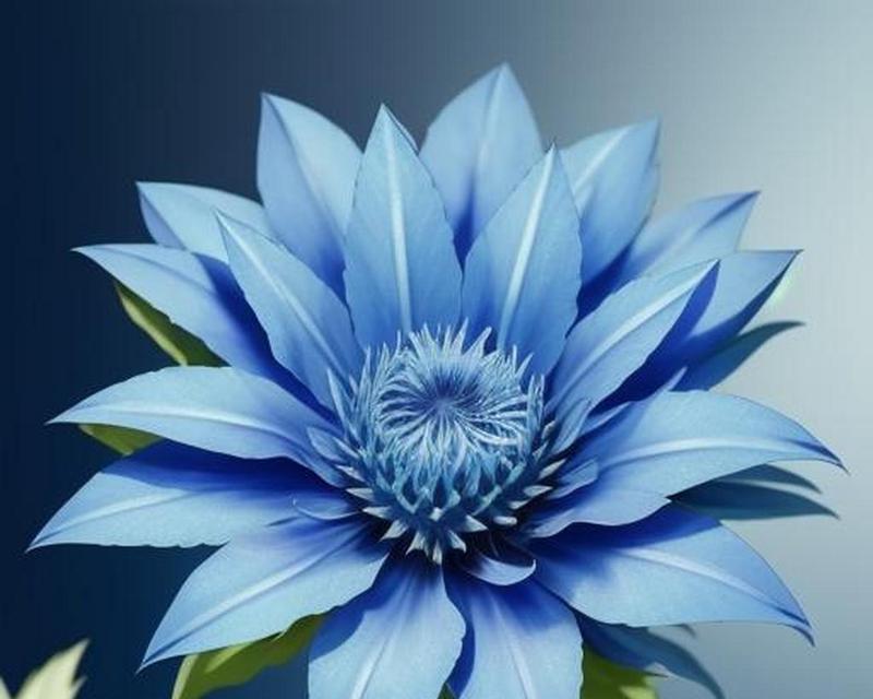 哪种蓝色花象征自由？它的寓意是什么？