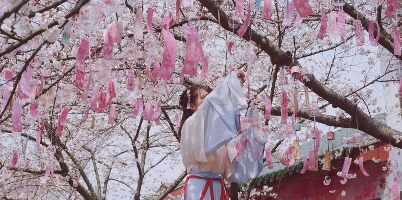 风筝花语节是什么？有哪些特别的花语？