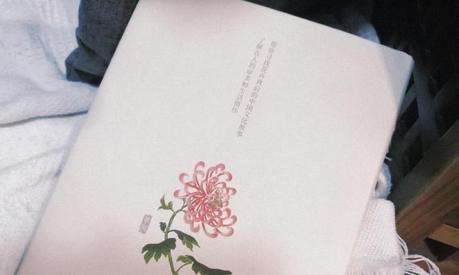 风筝花语节是什么？有哪些特别的花语？