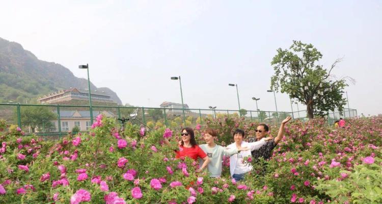 风筝花语节是什么？有哪些特别的花语？