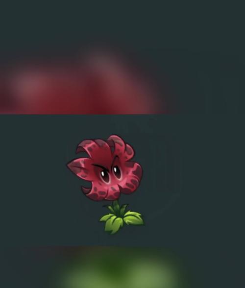 流星颜色代表的花寓意是什么？