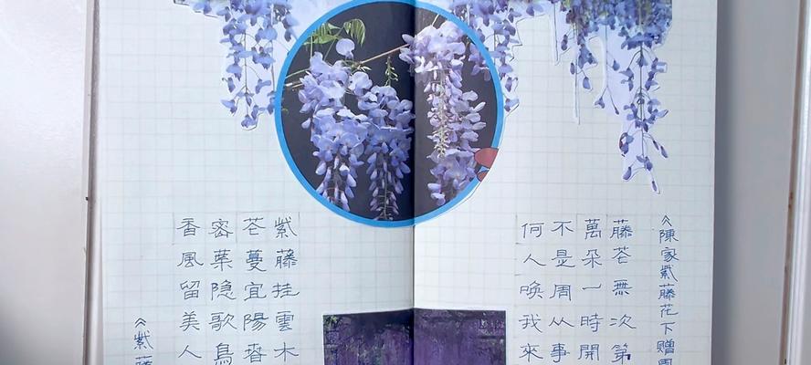 紫藤花的花语是什么？它如何寓意爱情？